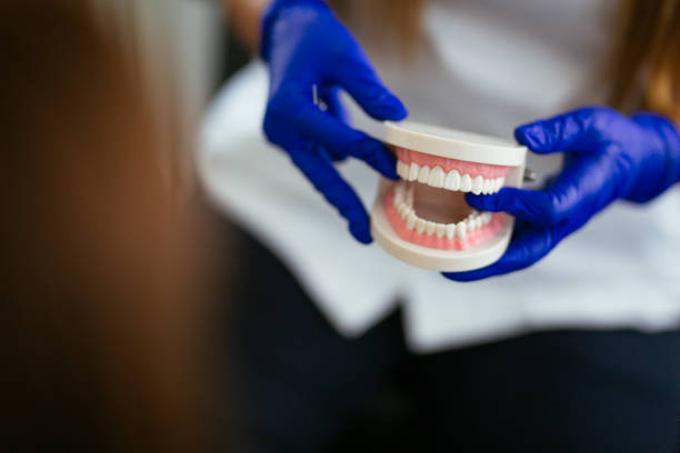 Why Choose Us for Your Dental Needs in Elfers, FL