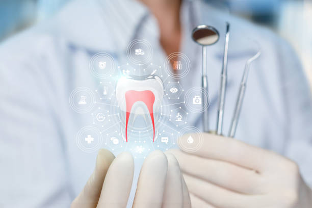 Best Emergency Dental Care  in Elfers, FL