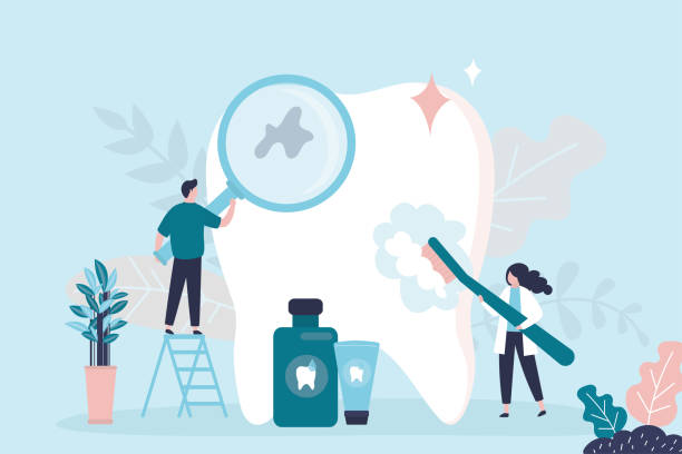  Elfers, FL Holistic Dental Services Pros