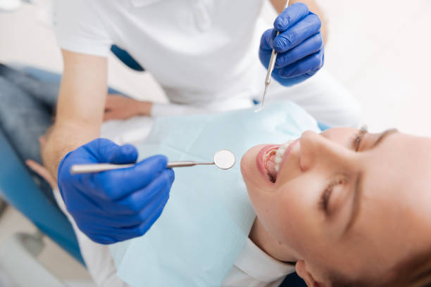 Best Laser Dentistry  in Elfers, FL