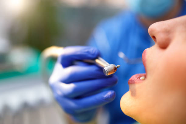 Best Dental Exams and Cleanings  in Elfers, FL